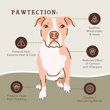 Natural Dog Company Pawtection Balm Travel Stick 0.15 - Go Hollywood Grooming