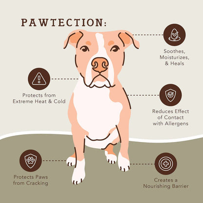 Natural Dog Company Pawtection Balm Travel Stick 0.15 - Go Hollywood Grooming