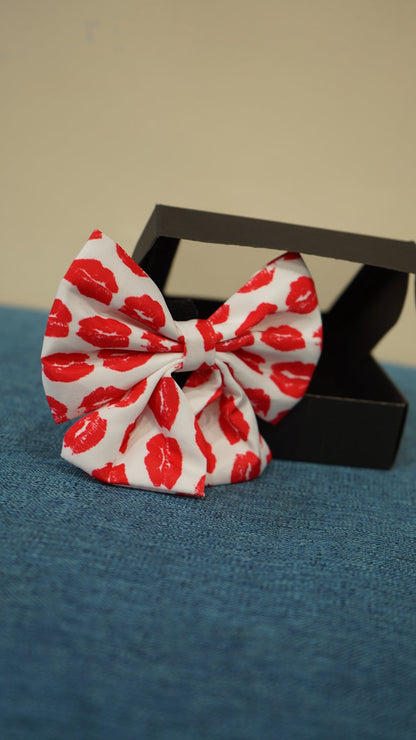 Pet Bowtie Accessories - Go Hollywood Grooming