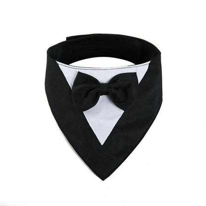 Pet Tuxedo accessory - Go Hollywood Grooming