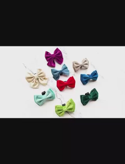 Pet Bowtie Accessories